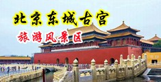 女人的肉穴被男人的阴茎爆插视频中国北京-东城古宫旅游风景区